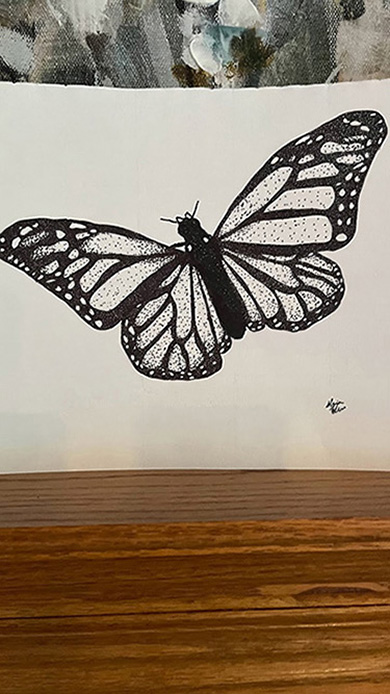 Drawing of a Butterfly