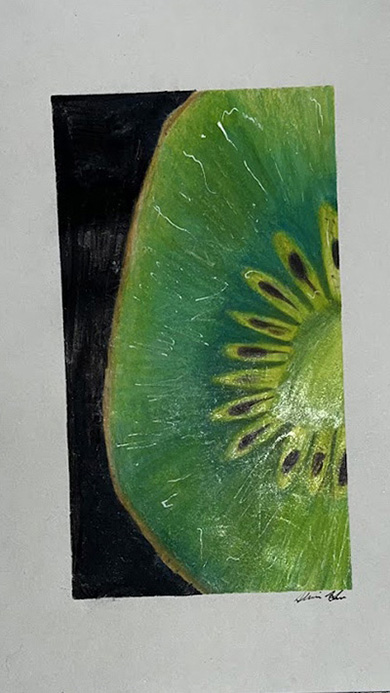 Painting of a Kiwi
