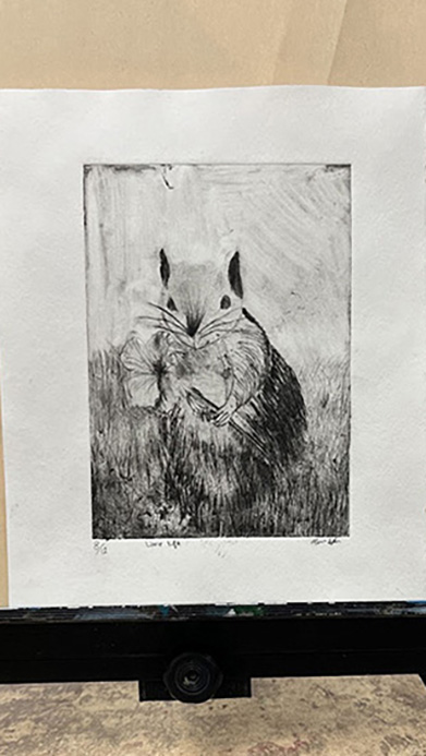 Drawing of a Squirrel